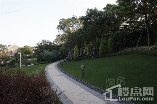 奥林匹克花园5期实景图