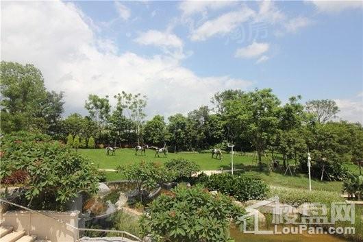 奥林匹克花园5期实景图