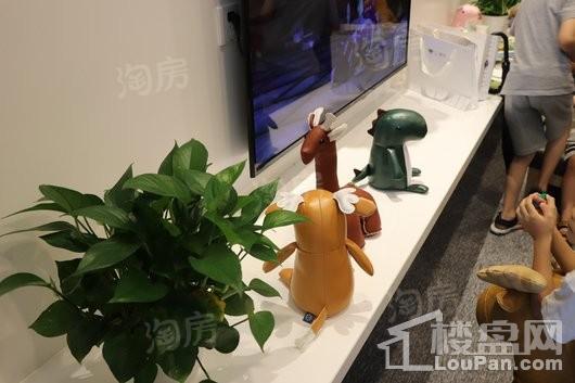 时代英之皇·廊桥实景图