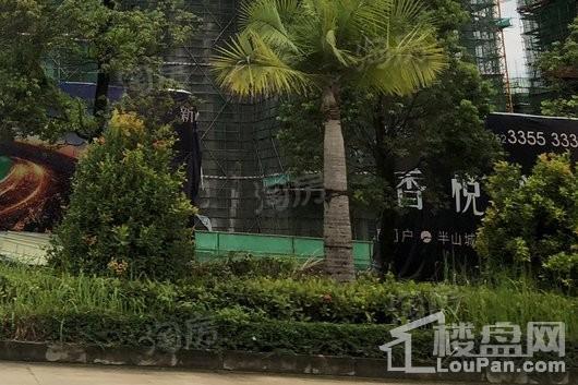 新城·香悦澜山实景图