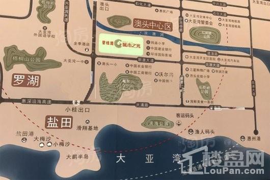 碧桂园城市之光位置图