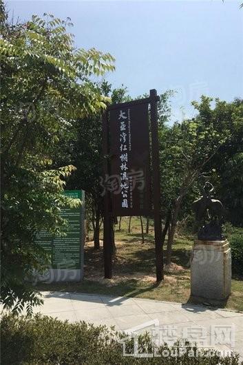 碧桂园城市之光配套图