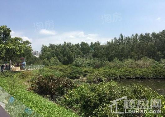 碧桂园城市之光配套图