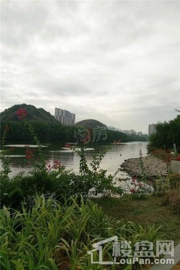 碧桂园城市之光配套图