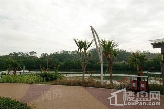碧桂园城市之光配套图