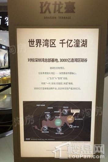 玖龙台实景图