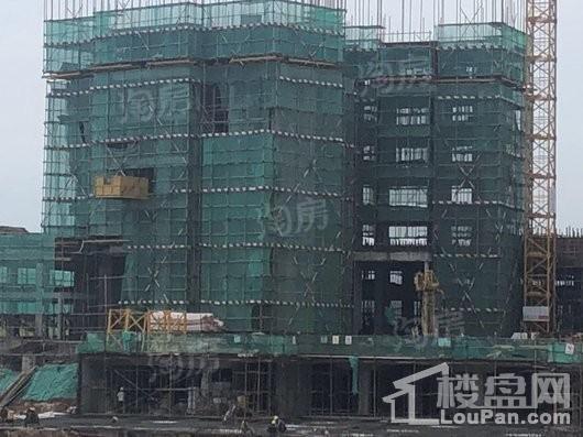 玖龙台实景图