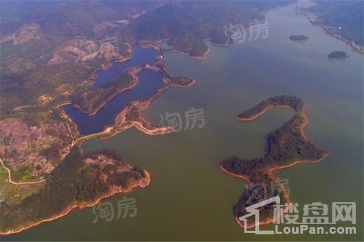 玖龙台配套图
