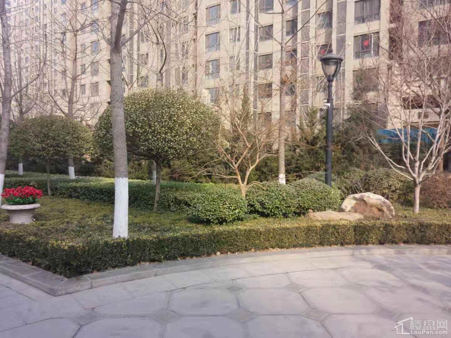 实景图