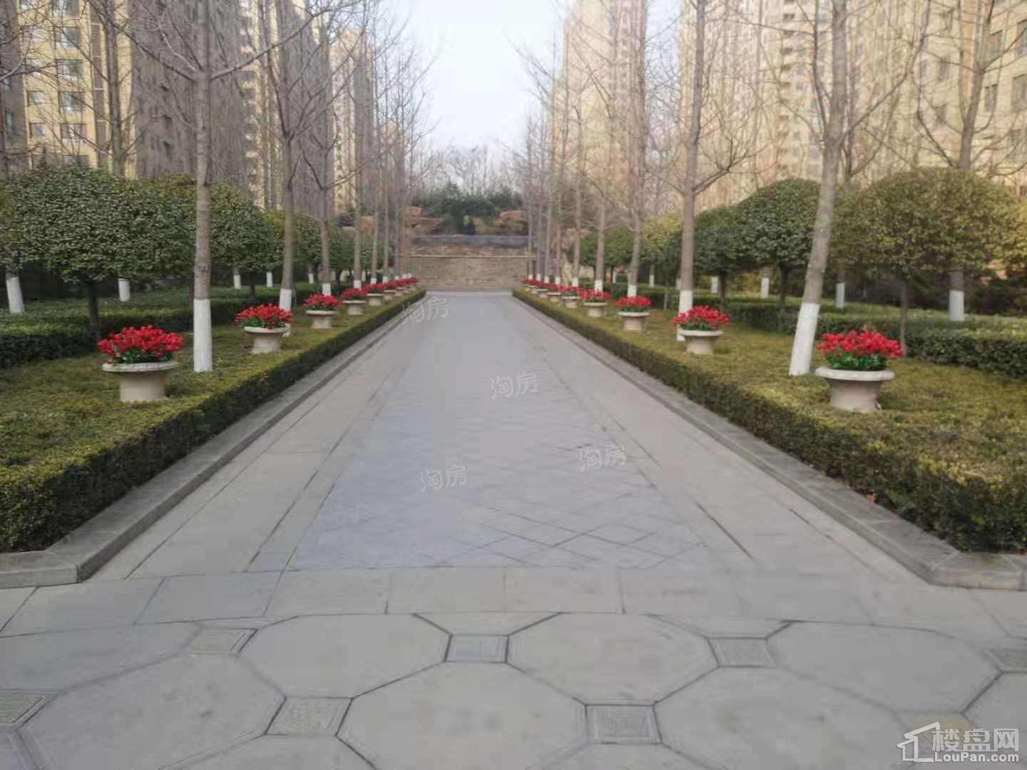 合美.帝宝一号实景图