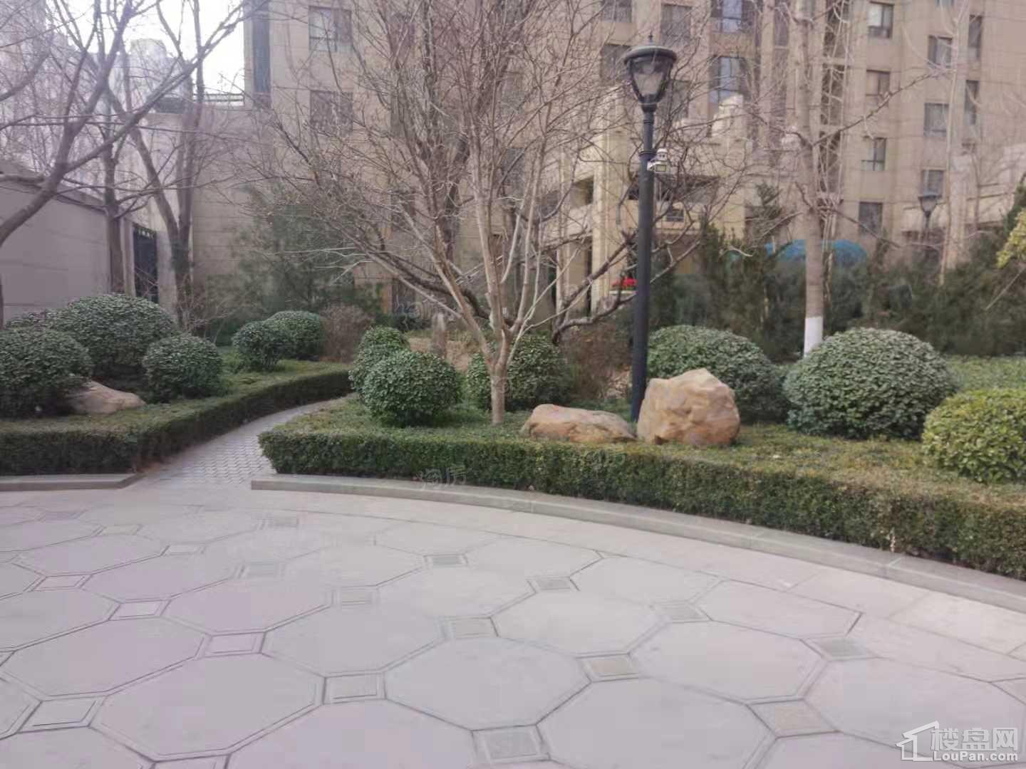 合美.帝宝一号实景图