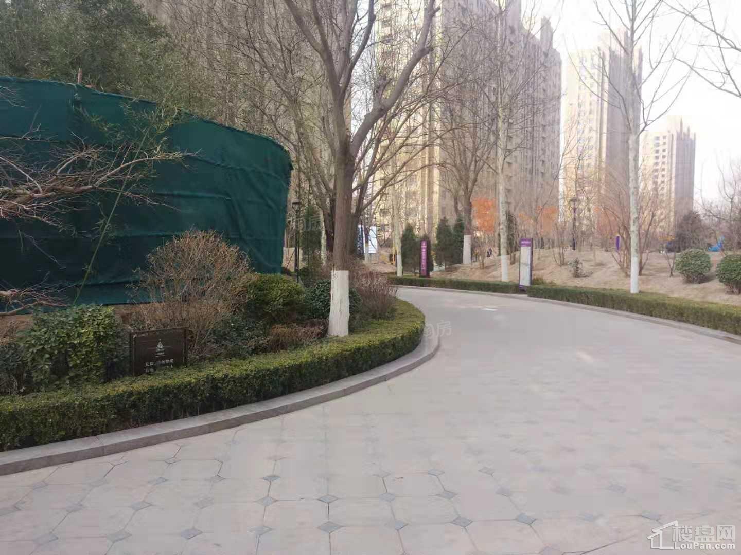 合美.帝宝一号实景图