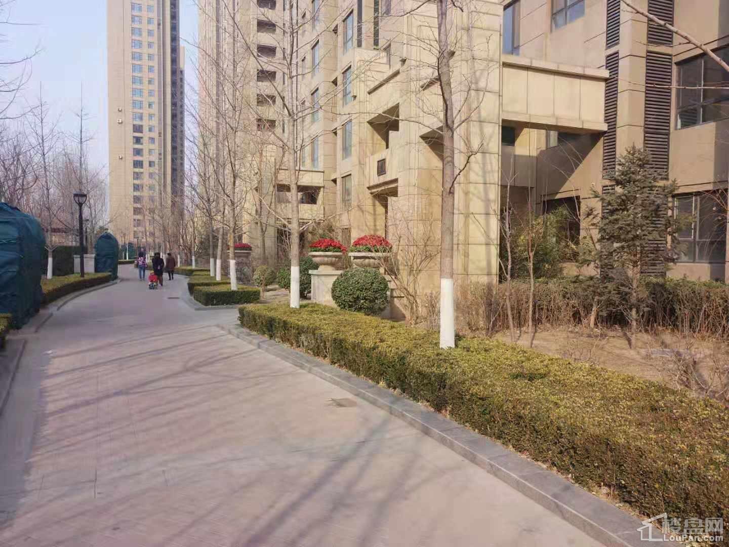 合美.帝宝一号实景图