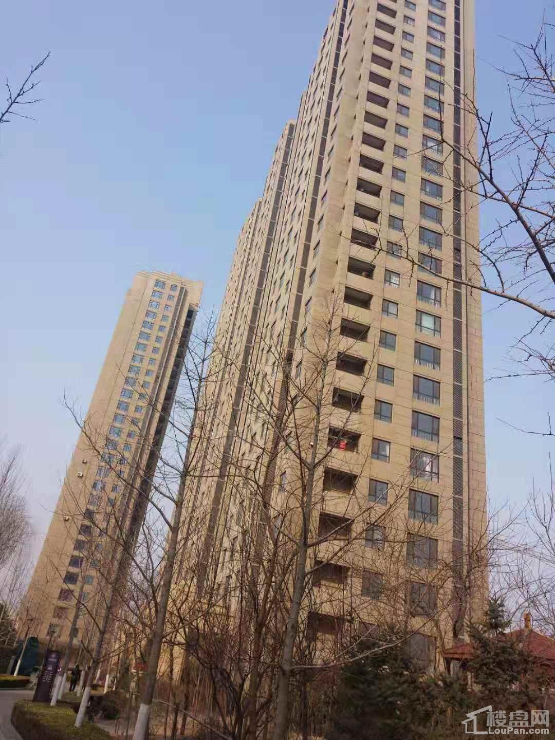 合美.帝宝一号实景图