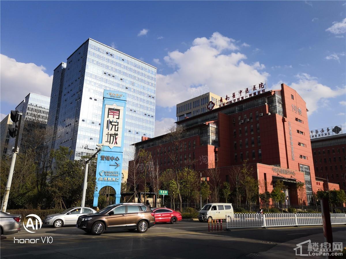 新希望·观澜汇实景图