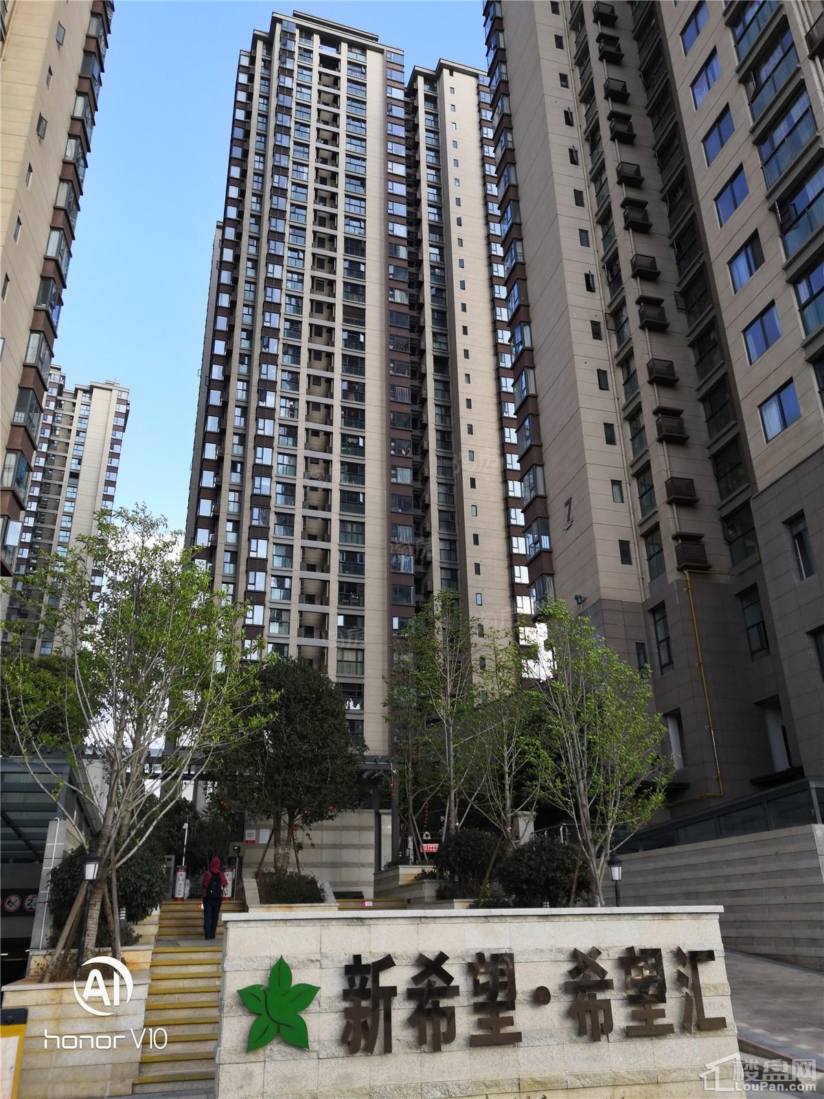 新希望·观澜汇实景图