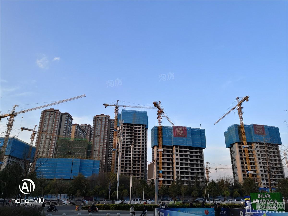 新希望·观澜汇实景图