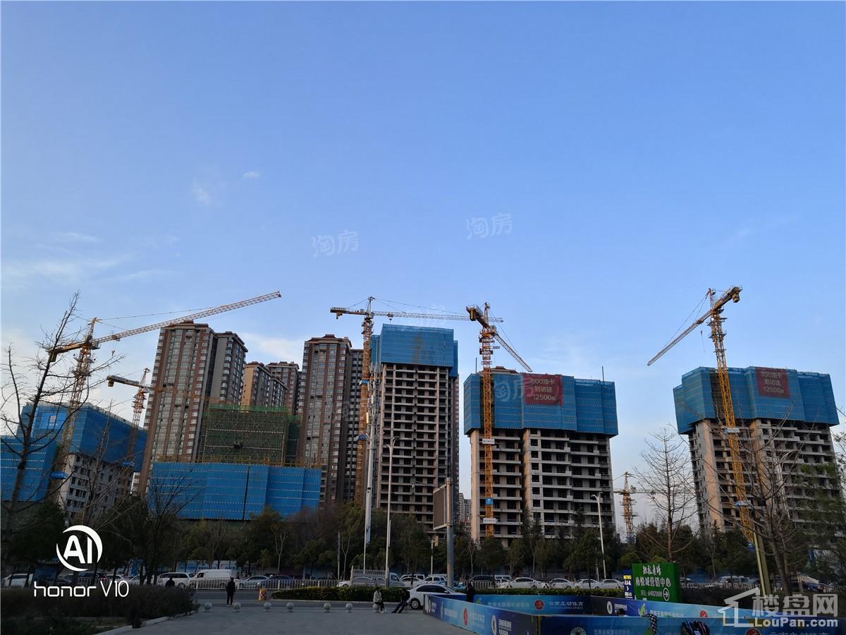 新希望·观澜汇实景图