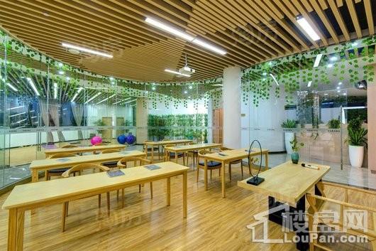 郑州恒大·养生谷实景图