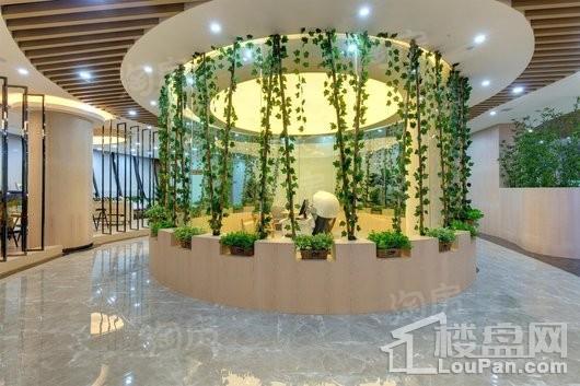 郑州恒大·养生谷实景图