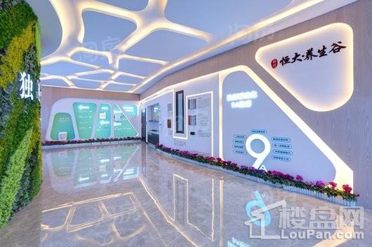 郑州恒大·养生谷实景图