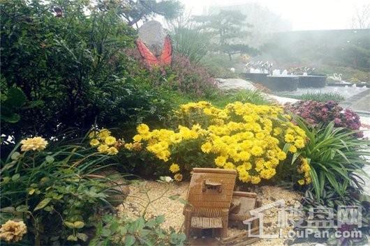 碧桂园山河郡实景图