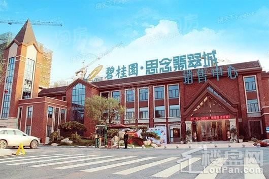 碧桂园山河郡实景图