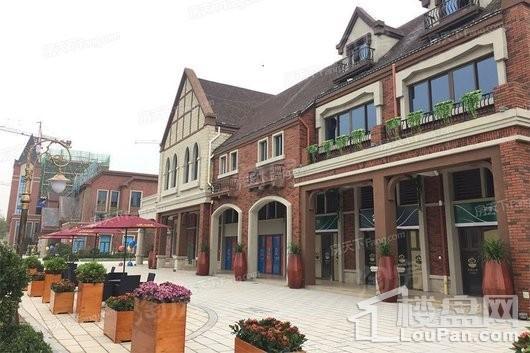 碧桂园山河郡配套图