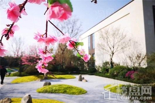 金科天籁城实景图