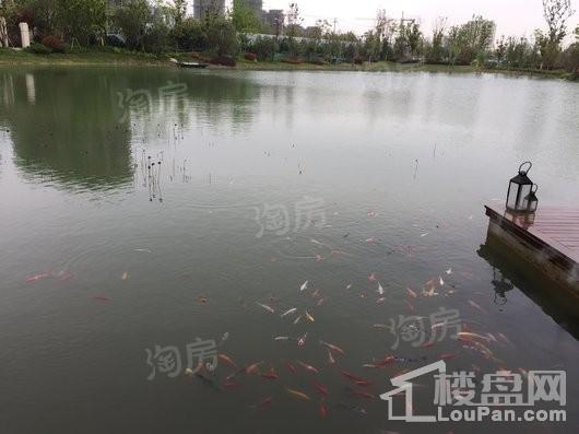 旭辉·公园府实景图