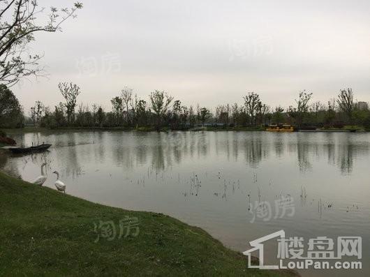 旭辉·公园府实景图