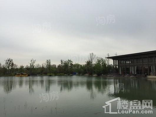 旭辉·公园府实景图