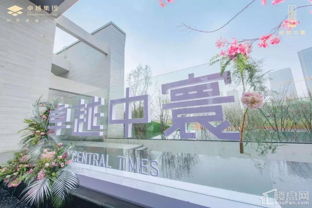 卓越中寰效果图