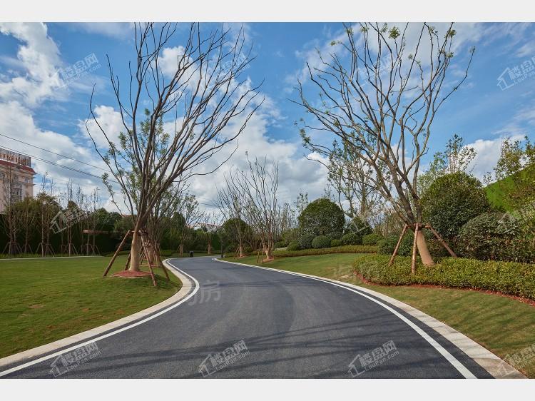 万科翡翠实景图