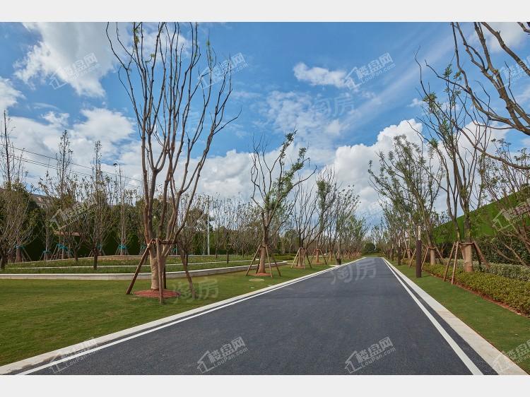 万科翡翠实景图