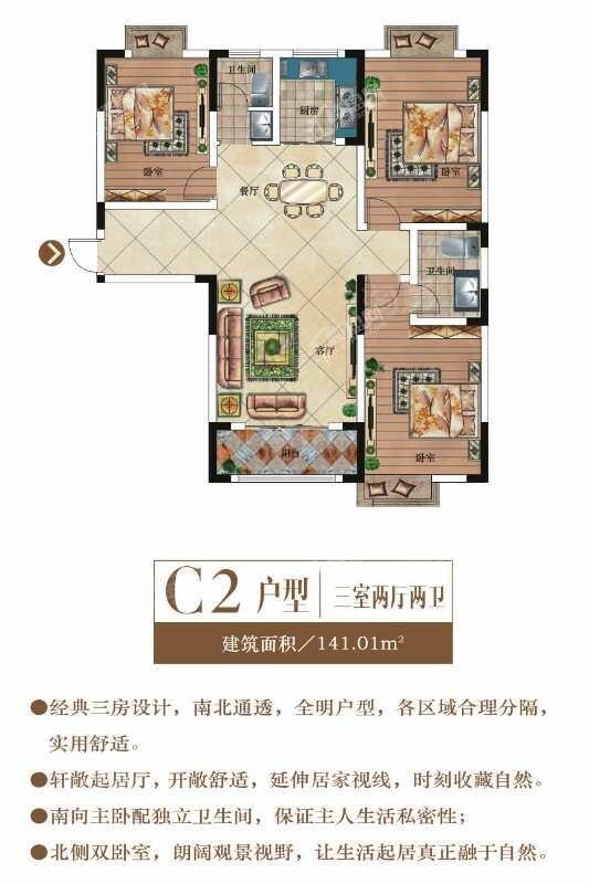 C2
