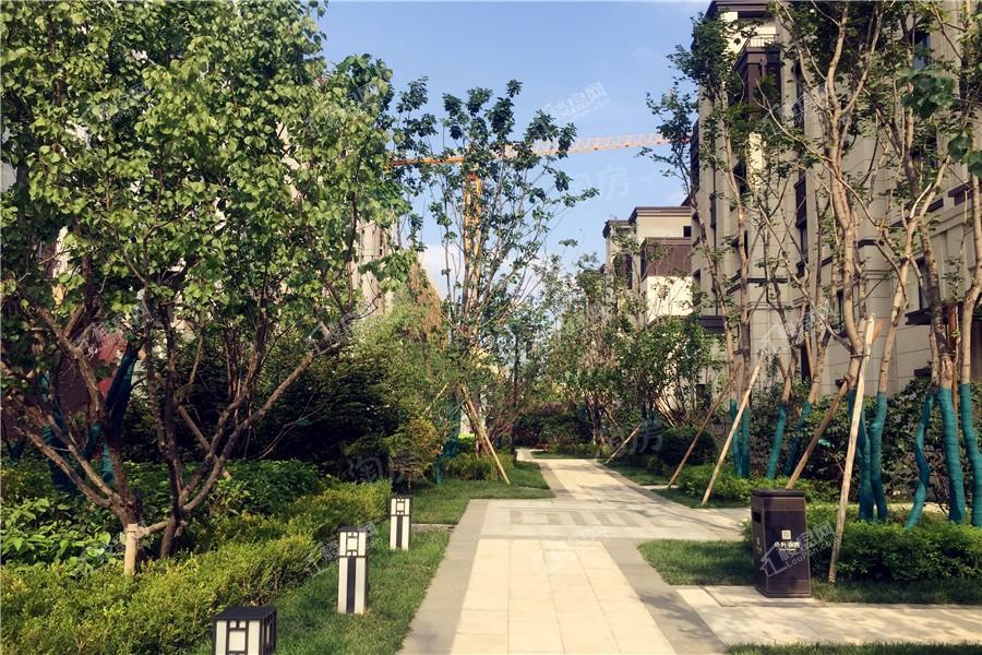 保利观唐实景图