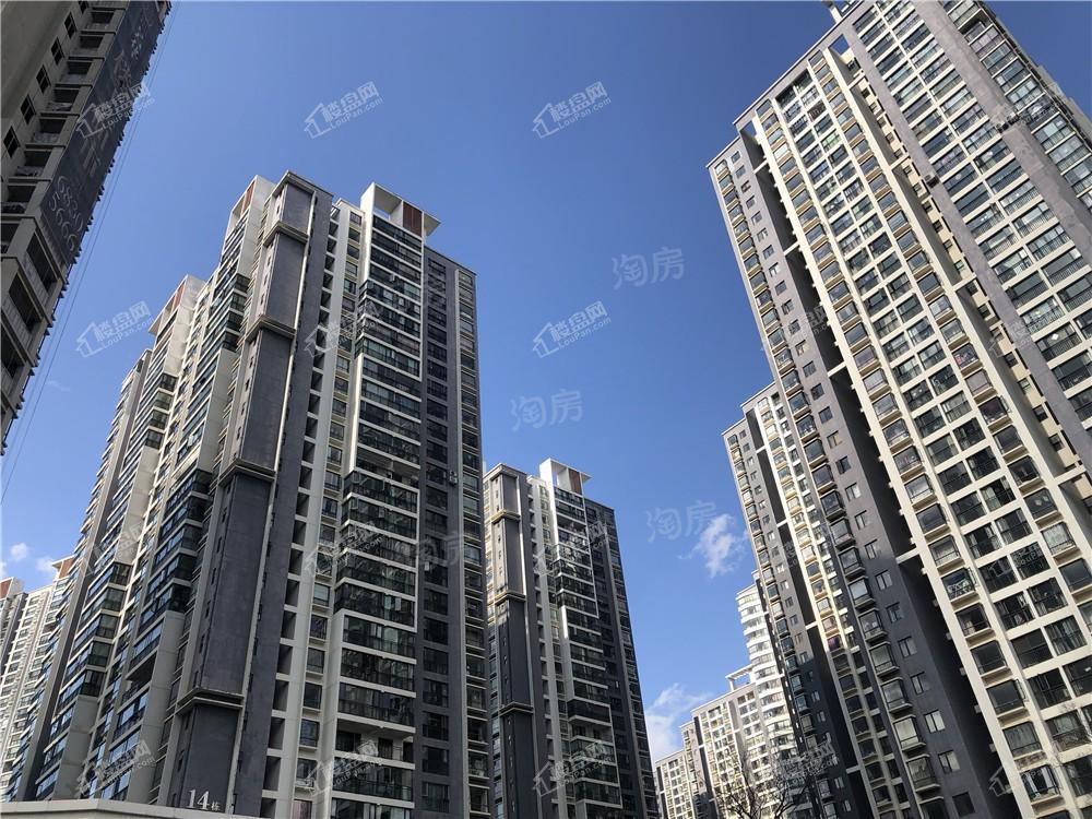 假日城市Ⅱ芳华实景图