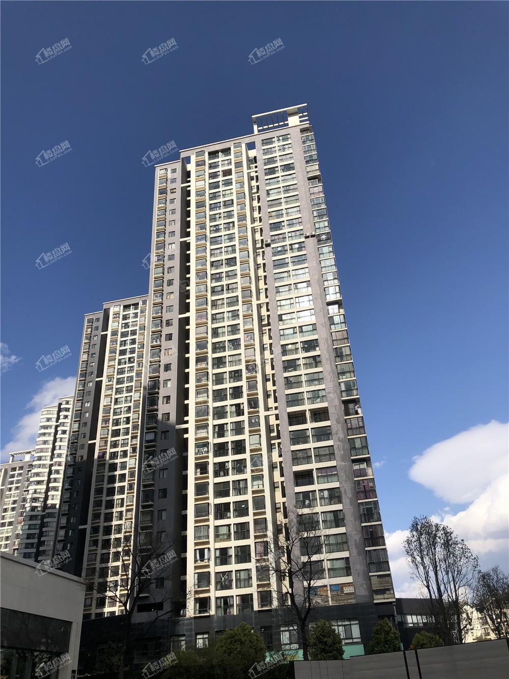 假日城市Ⅱ芳华实景图