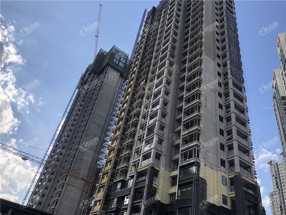 假日城市Ⅱ芳华实景图