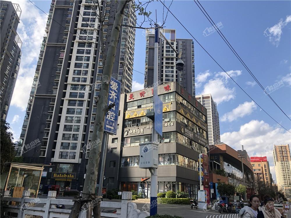 假日城市Ⅱ芳华实景图