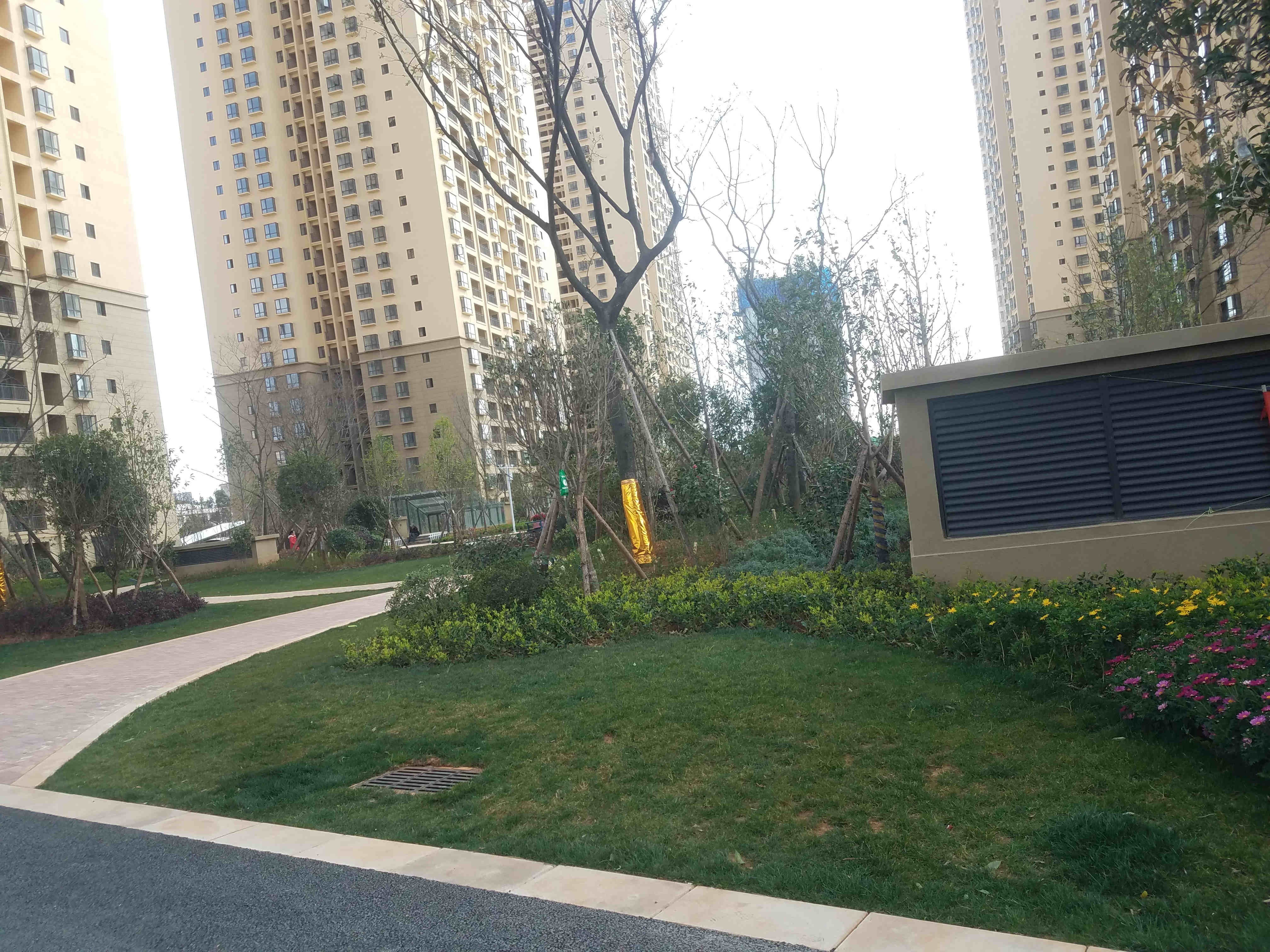 恒泰·滇池名门实景图