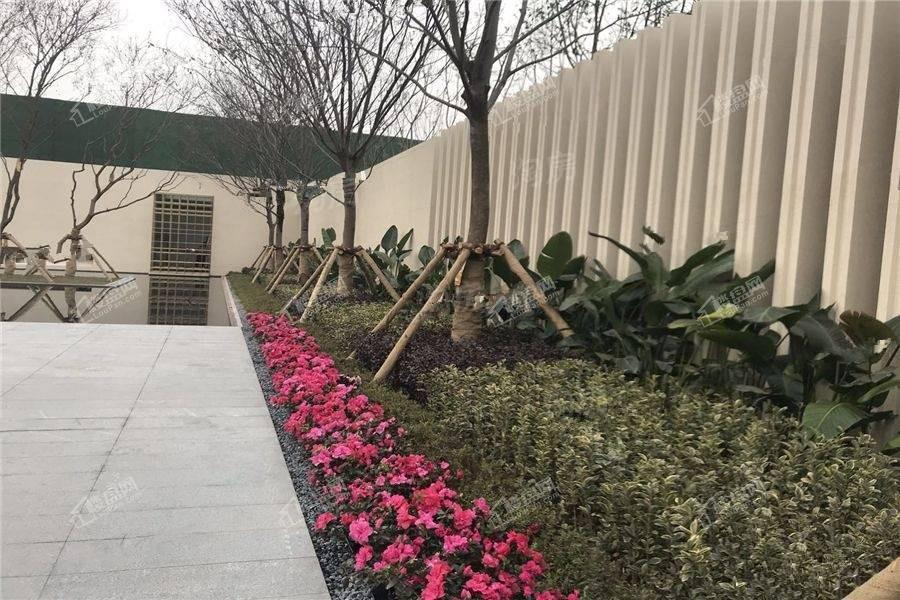 华润公园九里实景图