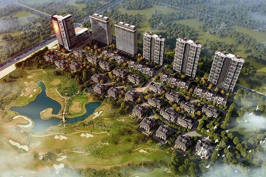 阳光100果岭公馆效果图