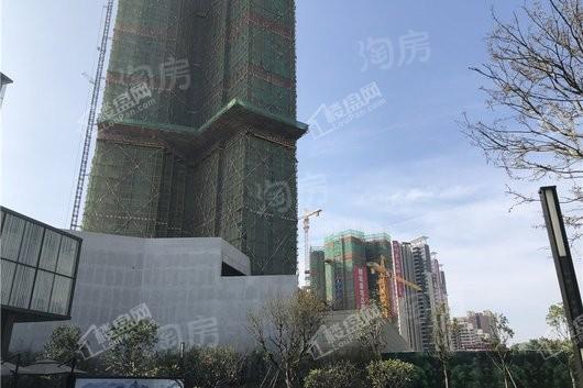 中洲半岛城邦实景图