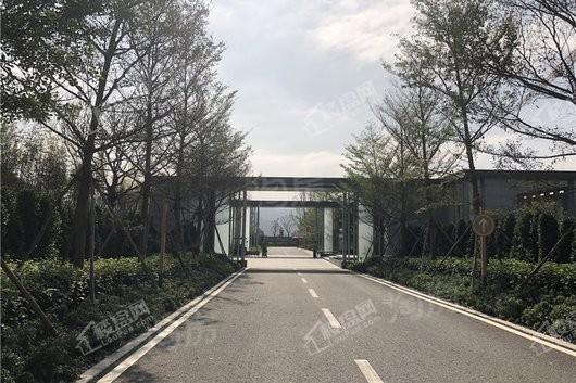 中洲半岛城邦实景图