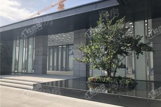 中洲半岛城邦实景图