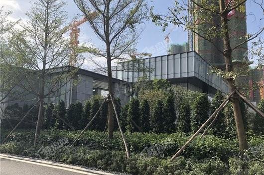 中洲半岛城邦实景图