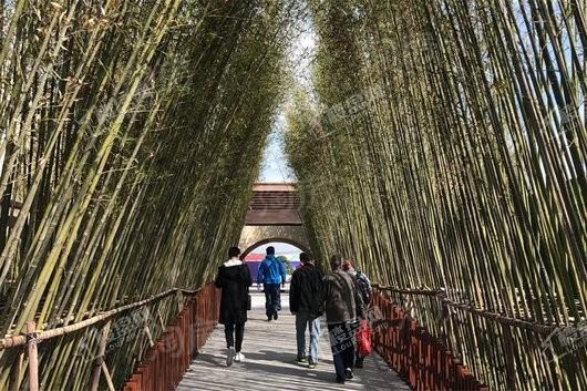 领地蘭台府实景图