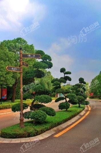 金裕星河丹堤实景图